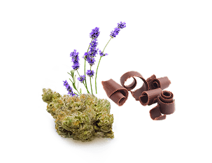 Pick flavour + aroma boosts